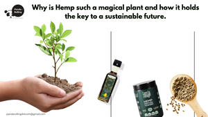 WHY IS HEMP SUCH A MAGICAL PLANT AND HOW IT HOLDS THE KEY TO A SUSTAINABLE FUTURE