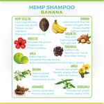 CBD’s Hemp Shampoo - 200 ML