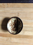 Coconut Mixing Bowls