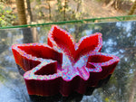 Herb Leaf Multicoloured Resin Ashtray