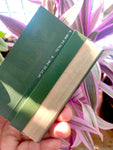 Stash-Pro Fatty King Size Rolling Papers